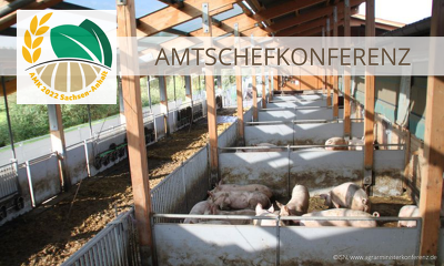 ACK-Beschluss: Bis zur AMK Ende März soll der Bund einen Bericht  mit Förder- und Finanzierungsmaßnahmen sowie einen konkreten Zeitplan für den Umbau der Nutztierhaltung vorlegen (Bild: ISN, www.agrarministerkonferenz.de)