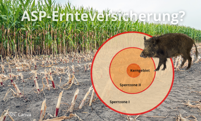 Brauche ich eine ASP-Ernteversicherung? (Bild: ©ISN, Canva)