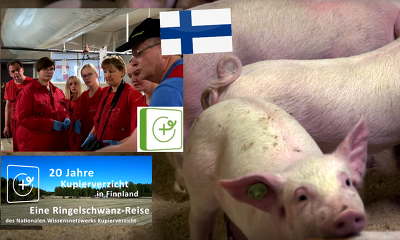 Header Exkursion Finnland