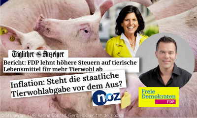 Die FDP lehnt eine Erhöhung der Steuern auf Fleisch oder eine Tierwohlabgabe ab. ©ISN/Jaworr, FDP, gero-hocker.abgeordnete.fdpbt.de, www.carinakonrad.de, www.tah.de, www.noz.de