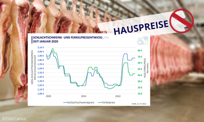 Die VEZG-Notierung für Schlachtschweine verblieb gestern auf einem Niveau von 1,85 €/kg SG, die drei großen Schlachtunternehmen zahlen jedoch nur 1,75 €/kg SG für nicht vertraglich gebundene Schweine.