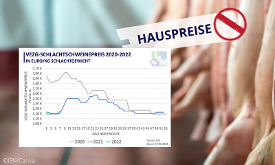 Der VEZG-Schlachtschweinepreis ist diese Woche um 5 Cent angestiegen, doch kurz nach Veröffentlichung der Notierung gab es zunehmend Berichte über Hauspreise. ©ISN, Canva