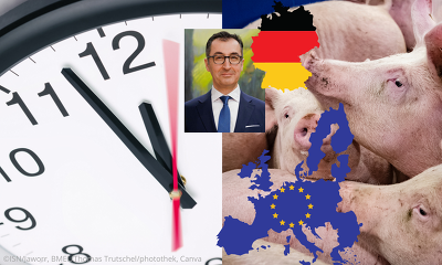 Die ISN fragt sich: Wo ist eigentlich Bundeslandwirtschaftsminister Özdemir bei all den akuten und existenziellen Themen der Schweinehalter?