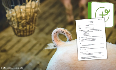 Nicht auf den letzten Drücker warten: Schweinehalter sollten sich jetzt um die Aktualisierung der Tierhaltererklärung kümmern und alle relevanten Dokumente im Rahmen des Aktionsplans auf Ihrem Betrieb ebenfalls aktualisieren, vorhalten bzw. bei der zuständigen Behörde einreichen.