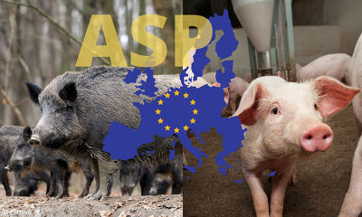 Header Asp Geschehen Eu 2023(1)