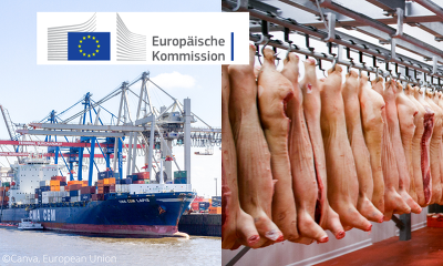 Die EU-Kommission prognostiziert für 2023 eine 5 % geringere Schweinefleischerzeugung  in der EU als im Vorjahr. ©Canva, EU