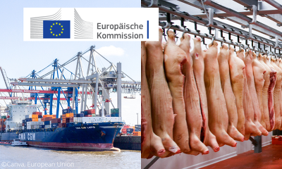 Die EU-Kommission prognostiziert für 2023 eine 5 % geringere Schweinefleischerzeugung in der EU als im Vorjahr. ©Canva, EU