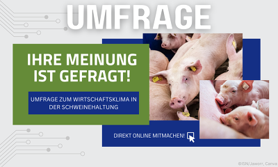 Header Umfrage Wirtschaftsklima Schweinehaltung neu