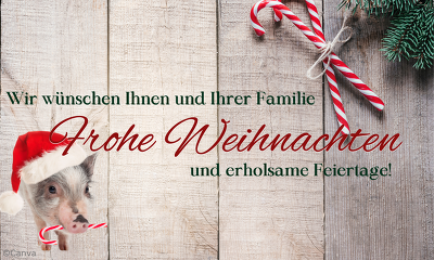 ISN-Weihnachtsgruß 2023