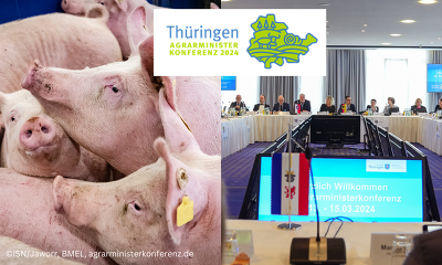 Bei der AMK in Erfurt standen auch mehrere Themen, die für die Zukunft der Schweinehaltung entscheidend sind, auf der Tagesordnung. ©ISN/Jaworr, BMEL, agrarministerkonferenz.de