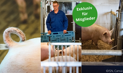 Header Seminarangebot Exklusiv