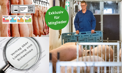 Vermarktungsseminar  für ISN-Mitglieder - Jetzt anmelden!