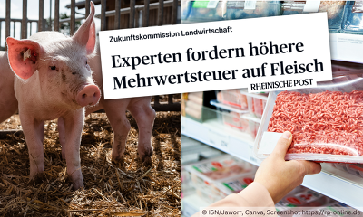 In der Diskussion um die langfristige Finanzierung des Umbaus der Tierhaltung hat sich die Zukunftskommission Landwirtschaft (ZKL) für eine Erhöhung der Mehrwertsteuer auf tierische Produkte ausgesprochen.