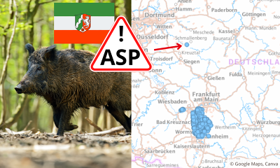 ASP NRW Kirchhundem WS