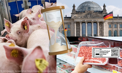 Bundestag Taten Statt Worte