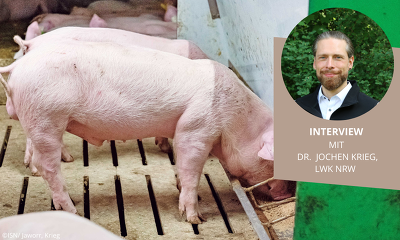 Header Interview Dr. J Krieg