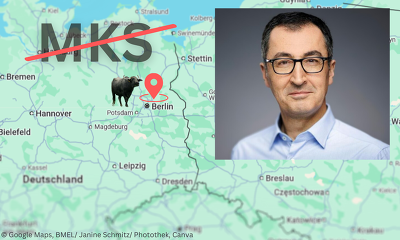 Header MKS Freiheitsstatus Özdemir
