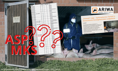 Insgesamt 21 Betriebe in 6 Bundesländern besucht: Die Tierrechtsaktivisten gehen in Zeiten der Afrikanischen Schweinepest und der Maul- und Klauenseuche ein extremes Tierseuchenrisiko aus ideologischen Gründen ein (Bild © Screenshots https://www.ariwa.org/tierwohl-luege/, ISN, Canva)