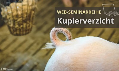 Header Web Seminare Kupierverzicht