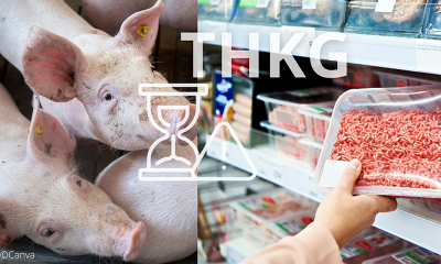 Der Start des THKG steht vor einer erneuten Verschiebung ©Canva