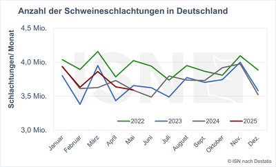 Von Januar bis Mai 2025 wurden in Deutschland wieder etwas mehr Schweine geschlachtet als im Vorjahreszeitraum ©Eigene Darstellung nach destatis