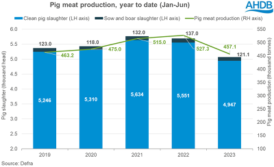 Für das laufende Jahr (Januar-Juni) beträgt die Schweinefleischproduktion im Vereinigten Königreich insgesamt 457.100 Tonnen - und damit 13 % weniger als im Vorjahreszeitraum. ©AHDB