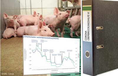 Krise am Schweinemarkt macht Überbrückungshilfe dringend notwendig – Argumentationshilfe für ISN-Mitglieder überarbeitet ©ISN, Canva