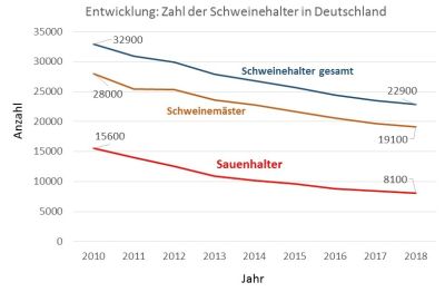 Der Strukturwandel in der Schweinehaltung hält unvermindert an