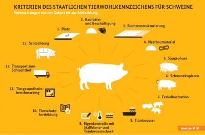 Die Kriterien umfassen den Zeitraum von der Geburt bis zur Schlachtung eines Schweines (Bildquelle: BMEL)