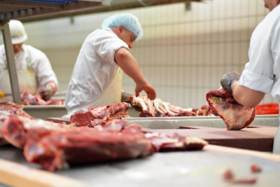 Mit dem geplanten Arbeitsschutzkontrollgesetz soll unter anderem geregelt werden, dass ab dem 1. Januar 2021 bei der Schlachtung, der Zerlegung und der Fleischverarbeitung kein Fremdpersonal mehr eingesetzt werden darf