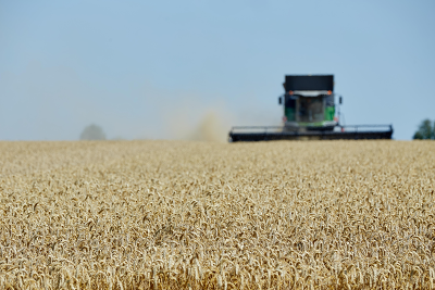 Mit dem THG-Tool in Ackerprofi können Landwirtinnen und Landwirte die Emissionen ihrer Produkte genau beziffern und kommunizieren.