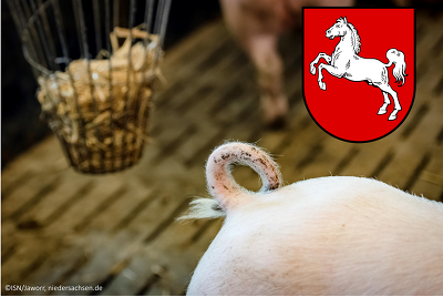 Die niedersächsische ELER-Tierwohlförderung zur Ringelschwanzprämie wird eingestellt. ©ISN/Jaworr, niedersachsen.de