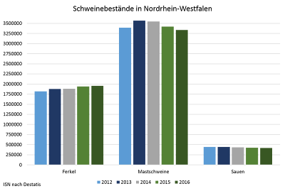 Während die Ferkelbestände leicht steigen, sinken Mastschweine- und Sauenbestände.