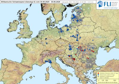 Karte: ASP in Europa, Stand 30.06.2026 ©FLI