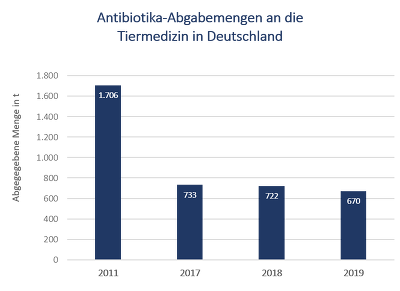 Die Antibiotika-Einsatzmenge von 670 t in 2019 ist der niedrigste Wert seit der ersten Erfassung im Jahr 2011. Damals waren 1 706 t Antibiotika in der Tiermedizin zum Einsatz gekommen.