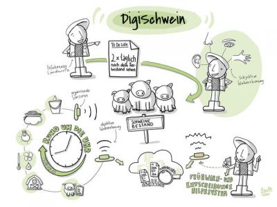 Projektdarstellung DigiSchwein © Paula Föhr