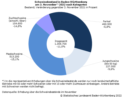 Schweinebestand in Baden-Württemberg am 3. November 2022 nach Kategorien ©Statistisches Landesamt Baden-Württemberg 2022