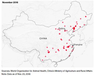 Seit August 2018 hat sich das ASP-Virus in China schnell und über weite Strecken verbreitet.