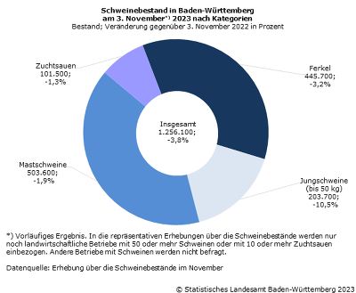 Die Zahl der insgesamt gehaltenen Schweine ist in Baden-Württemberg innerhalb eines Jahres um rund 4% gesunken. ©Statistisches Landesamt Baden-Württemberg