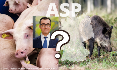 In Sachen ASP scheint Landwirtschaftsminister Cem Özdemir völlig abgetaucht zu sein