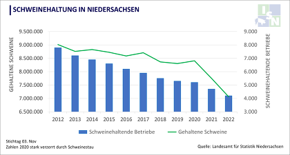 Erschreckende Zahlen: Im Vergleich zum November 2021 ist die Zahl der Schweine insgesamt um 8,9 % auf 7,1 Mio. Schweine zurückgegangen und erreicht damit den niedrigsten Stand seit zehn Jahren