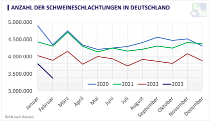 Der Abwärtstrend bei den Schweineschaltungen hat sich im Februar weiter beschleunigt