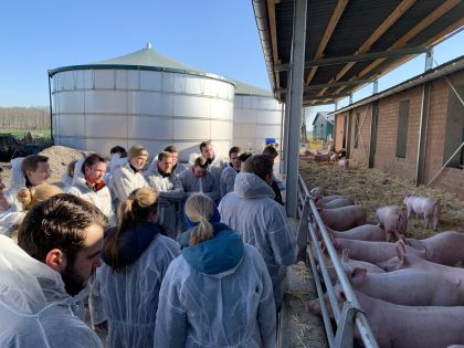Die JISN-Mitglieder interessierten sich besonders für die technischen Umbaumaßnahmen, das tägliche Management und das Verhalten der Schweine mit dem neuen Stroh- und Außenklimabereich. ©ISN
