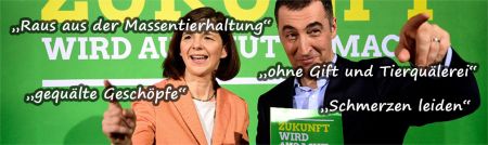 Gruene Wahlkampf2017