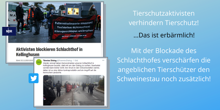 Tierschutzaktivisten legen seit den Morgenstunden den Tönnies-Schlachthof in Kellinghusen lahm und blockieren damit die wegen des dramatischen Schweinestaus so wichtigen Schweineschlachtungen (Quelle: Screenshot https://www.ndr.de, https://twitter.com)