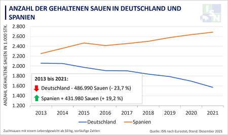 Seit 2013 hat die Anzahl der gehaltenen Sauen in Deutschland deutlich abgenommen, im Gegensatz dazu baut Spanien in gleichem Maß seinen Sauenbestand weiter aus.