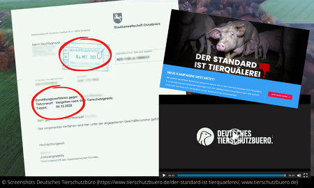©Screenshots Deutsches Tierschutzbüro (www.tierschutzbuero.de; https://www.tierschutzbuero.de/der-standard-ist-tierquaelerei/)