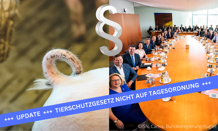 Das Bundeskabinett sollte dem Vernehmen nach am Mittwoch, 22. Mai 2024, über die Novelle des Tierschutzgesetzes abstimmen. Nun stand die Änderung heute doch nicht auf der Tagesordnung. ©ISN, Canva, Bundesregierung/Kugler