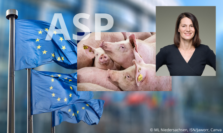 Niedersachsens Agrarministerin Miriam Staudte fordert: "Tiergesundheitsrechts der EU muss angepasst werden!" ©ML/Niedersachsen, ISN/Jaworr, Canva