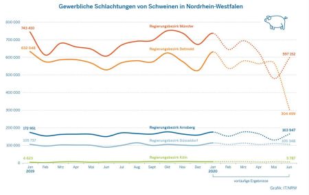 NRW: Zahl der geschlachteten Schweine  im Juni 2020 um 14,8 Prozent niedriger als ein Jahr zuvor (Quelle: https://www.it.nrw/)